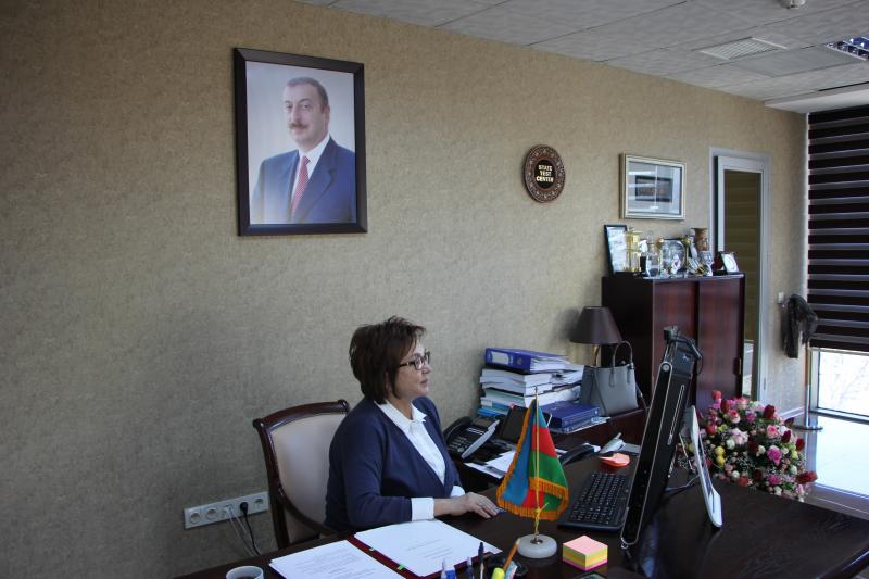 DİM ilə Gürcüstanın Milli Qiymətləndirmə və İmtahan Mərkəzinin rəhbər şəxsləri arasında videokonfrans formatında görüş keçirilib 